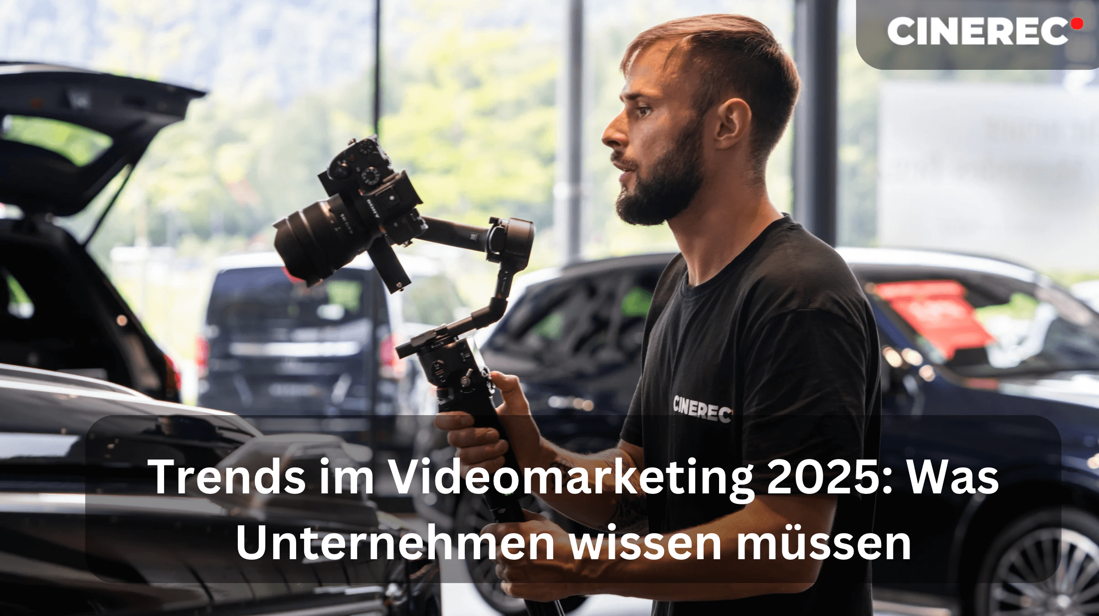 Trends in video marketing 2025: what companies need to know